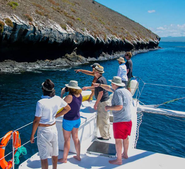 daphne island galapagos : tour isla bartolome